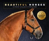 Produktbild: Beautiful Horses
