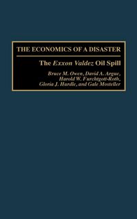 Produktbild: Economics of a Disaster