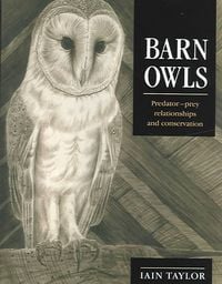 Produktbild: Barn Owls