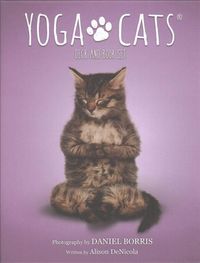 Produktbild: Yoga Cats Deck & Bk Set