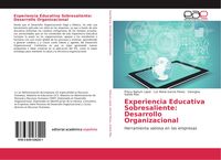 Produktbild: Experiencia Educativa Sobresaliente: Desarrollo Organizacional
