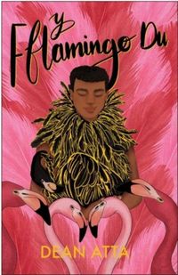 Produktbild: Y Fflamingo Du