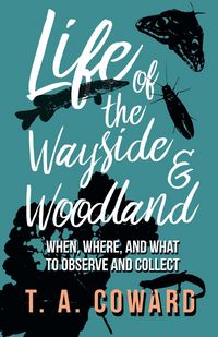 Produktbild: Life of the Wayside and Woodland