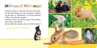 Hör mal rein, wer kann das sein? – Im Frühling