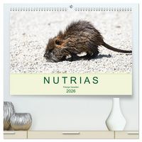 Produktbild: NUTRIAS - Pelzige Gesellen (hochwertiger Premium Wandkalender 2026 DIN A2 quer), Kunstdruck in Hochglanz