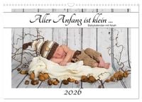 Produktbild: Aller Anfang ist klein - Babykalender mit Noah (Wandkalender 2026 DIN A3 quer), CALVENDO Monatskalender