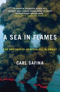 Produktbild: A Sea in Flames