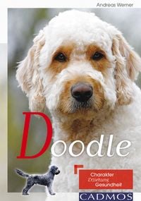 Produktbild: Doodle