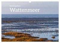 Produktbild: Schutzgebiet Wattenmeer (Wandkalender 2026 DIN A3 quer), CALVENDO Monatskalender