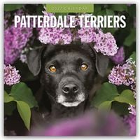 Produktbild: Patterdale Terriers &ndash; Patterdale Terrier &ndash; Schwarzer Terrier 2027 &ndash; 16-Monatskalender