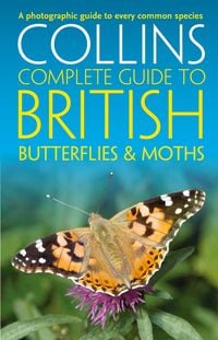 Produktbild: British Butterflies and Moths