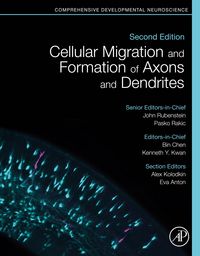 Produktbild: Cellular Migration and Formation of Axons and Dendrites