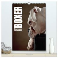 Produktbild: Boxer - Charmante Charakterk&ouml;pfe (hochwertiger Premium Wandkalender 2026 DIN A2 hoch), Kunstdruck in Hochglanz