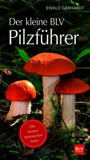 Produktbild: Der kleine BLV Pilzf&uuml;hrer