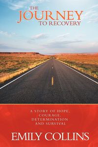 Produktbild: The Journey to Recovery