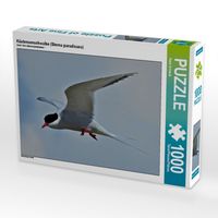 Produktbild: K&uuml;stenseeschwalbe (Sterna paradisaea) (Puzzle)