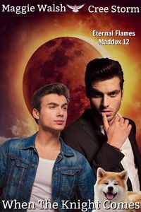Produktbild: When The Knight Comes Eternal Flames Maddox 12