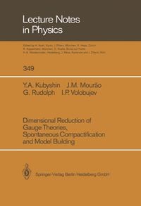 Produktbild: Dimensional Reduction of Gauge Theories, Spontaneous Compactification and Model Building