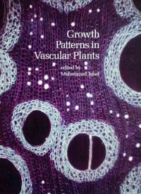 Produktbild: Growth Patterns in Vascular Pl