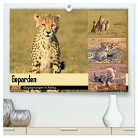 Produktbild: Geparden - Begegnungen in Afrika (hochwertiger Premium Wandkalender 2027 DIN A2 quer), Kunstdruck in Hochglanz