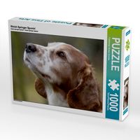 Produktbild: Welsh Springer Spaniel (Puzzle)