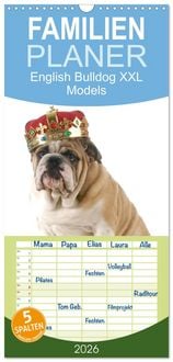 Produktbild: Familienplaner 2026 - English Bulldog XXL Models mit 5 Spalten (Wandkalender, 21 x 45 cm) CALVENDO