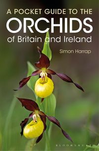 Produktbild: Pocket Guide to the Orchids of Britain and Ireland