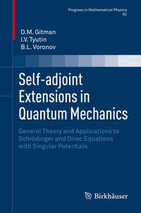 Produktbild: Self-adjoint Extensions in Quantum Mechanics
