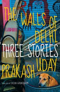 Produktbild: The Walls of Delhi