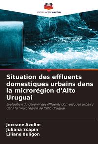 Produktbild: Situation des effluents domestiques urbains dans la micror&eacute;gion d'Alto Uruguai
