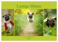 Produktbild: Lustige M&ouml;pse aus der Hundeknipserei (Tischkalender 2027 DIN A5 quer), CALVENDO Monatskalender