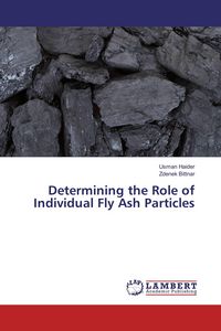 Produktbild: Determining the Role of Individual Fly Ash Particles