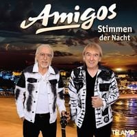 Produktbild: Stimmen der Nacht