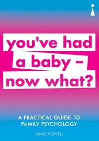 Produktbild: A Practical Guide to Family Psychology