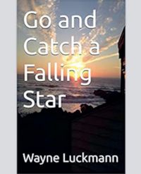 Produktbild: Go and Catch a Falling Star
