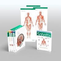 Produktbild: Paulsen, F: Sobotta Atlas of Anatomy, Package, 17th ed., Eng