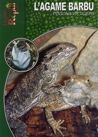 Produktbild: Agame barbu pogona vitticeps