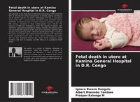 Produktbild: Fetal death in utero at Kamina General Hospital in D.R. Congo