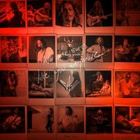 Produktbild: No One Sings Like You Anymore (Vinyl)