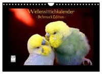 Produktbild: Wellensittichkalender - Schmuck Edition (Wandkalender 2026 DIN A4 quer), CALVENDO Monatskalender