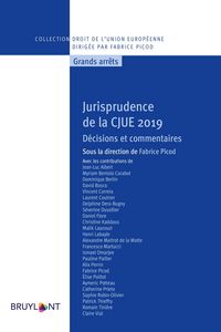 Produktbild: Jurisprudence de la CJUE 2019