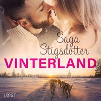 Produktbild: Vinterland - Erotisk novell
