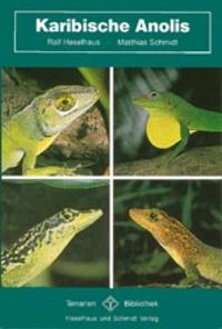 Produktbild: Karibische Anolis