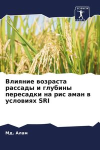 Produktbild: Vliqnie wozrasta rassady i glubiny peresadki na ris aman w uslowiqh SRI