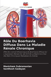 Produktbild: R&ocirc;le Du Boerhavia Diffusa Dans La Maladie R&eacute;nale Chronique