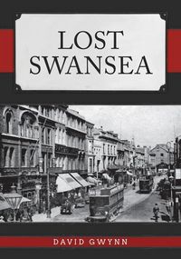Produktbild: Lost Swansea