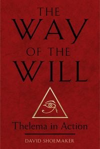 Produktbild: The Way of the Will
