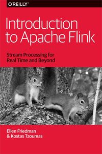 Produktbild: Introduction to Apache Flink
