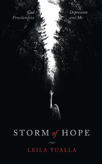 Produktbild: Storm of Hope