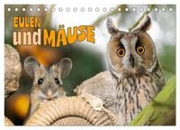Produktbild: Eulen und M&auml;use (Tischkalender 2026 DIN A5 quer), CALVENDO Monatskalender